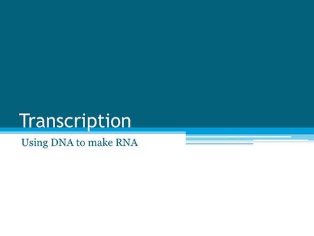 Transcription Using DNA to make RNA. The “Big Picture” Goal Use DNA to make protein ▫Step 1: Replicate the DNA ▫Step 2: Transcribe DNA into RNA ▫Step.