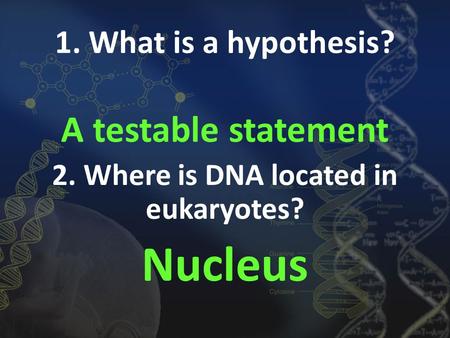 1. What is a hypothesis? A testable statement 2. Where is DNA located in eukaryotes? Nucleus.