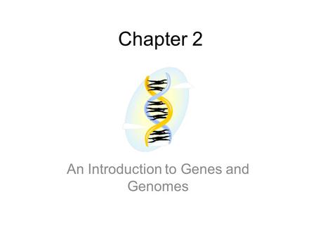An Introduction to Genes and Genomes