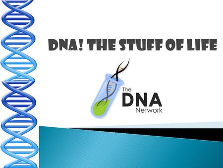 DNA! The stuff of Life.
