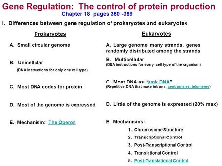 Gene Regulation: The control of protein production Prokaryotes Eukaryotes A. Small circular genome B.Unicellular (DNA instructions for only one cell type)