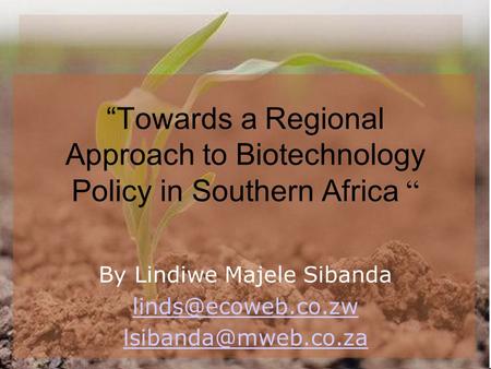 “Towards a Regional Approach to Biotechnology Policy in Southern Africa “ By Lindiwe Majele Sibanda