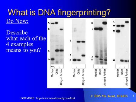 FOR MORE:  1 What is DNA fingerprinting? Do Now: Describe what each of the 4 examples means to you? © 2005 Mr. Kent, JFKHS.