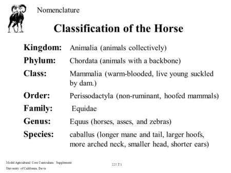 Nomenclature Model Agricultural Core Curriculum: Supplement University of California, Davis 225.T 1 Classification of the Horse Kingdom: Animalia (animals.