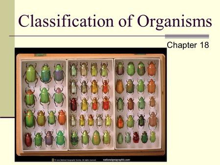 Classification of Organisms Chapter 18 What is an Organism? An organism is generally referred to any living thing. More specifically any thing that has.