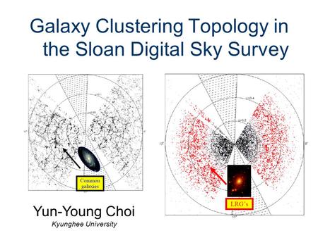 Galaxy Clustering Topology in the Sloan Digital Sky Survey Yun-Young Choi Kyunghee University.
