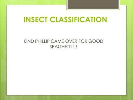 INSECT CLASSIFICATION KIND PHILLIP CAME OVER FOR GOOD SPAGHETTI !!!