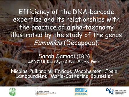 Efficiency of the DNA-barcode expertise and its relationships with the practice of alpha-taxonomy illustrated by the study of the genus Eumunida (Decapoda).