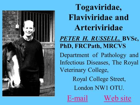 Togaviridae, Flaviviridae and Arteriviridae PETER H. RUSSELL, BVSc, PhD, FRCPath, MRCVS Department of Pathology and Infectious Diseases, The Royal Veterinary.