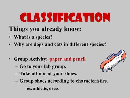 CLASSIFICATION Things you already know: What is a species? Why are dogs and cats in different species? Group Activity: paper and pencil –Go to your lab.
