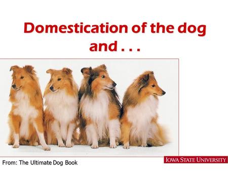 Domestication of the dog and... From: The Ultimate Dog Book.