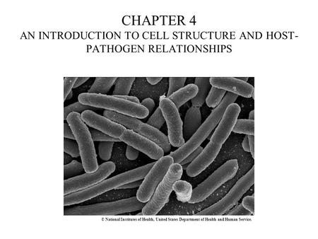 CHAPTER 4 AN INTRODUCTION TO CELL STRUCTURE AND HOST- PATHOGEN RELATIONSHIPS © National Institutes of Health, United States Department of Health and Human.
