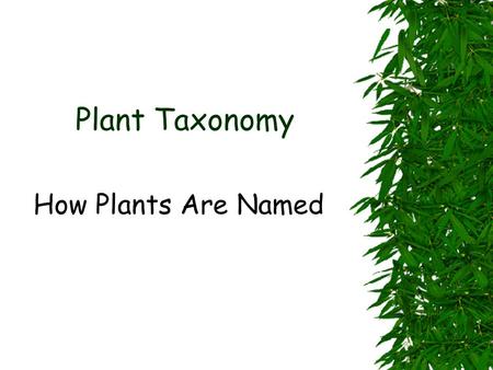 Plant Taxonomy How Plants Are Named.