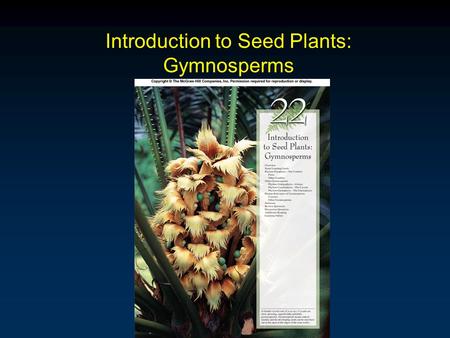 Introduction to Seed Plants: Gymnosperms. Outline Overview Phylum Pinophyta Phylum Ginkgophyta Phylum Cycadophyta Phylum Gnetophyta Human Relevance of.
