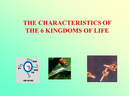 THE CHARACTERISTICS OF THE 6 KINGDOMS OF LIFE