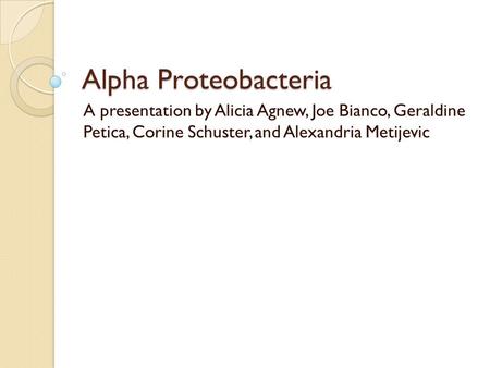 Alpha Proteobacteria A presentation by Alicia Agnew, Joe Bianco, Geraldine Petica, Corine Schuster, and Alexandria Metijevic.