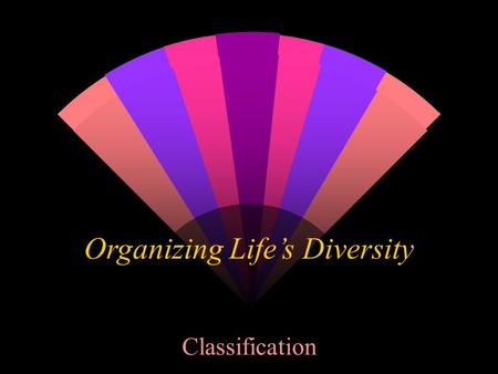 Organizing Life’s Diversity Classification. w ______________- system of grouping objects or information based on similarities. w ____________- study that.