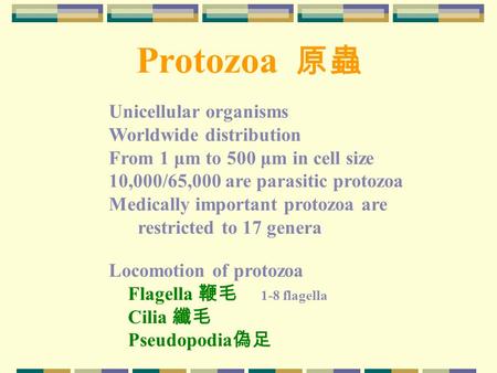 Protozoa 原蟲 Unicellular organisms Worldwide distribution From 1 μm to 500 μm in cell size 10,000/65,000 are parasitic protozoa Medically important protozoa.