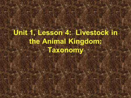 Unit 1, Lesson 4: Livestock in the Animal Kingdom: Taxonomy