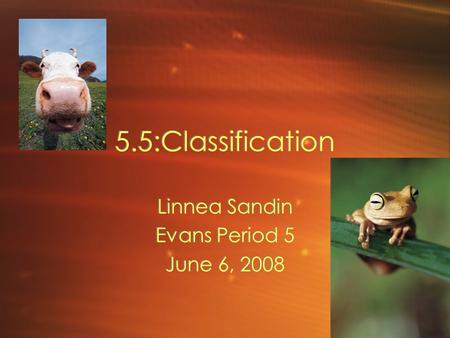 5.5:Classification Linnea Sandin Evans Period 5 June 6, 2008 Linnea Sandin Evans Period 5 June 6, 2008.