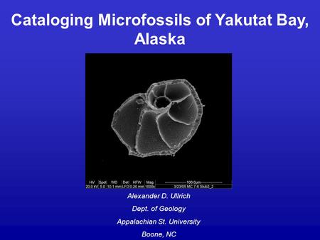 Cataloging Microfossils of Yakutat Bay, Alaska Alexander D. Ullrich Dept. of Geology Appalachian St. University Boone, NC.