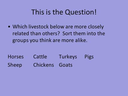 This is the Question! Which livestock below are more closely related than others? Sort them into the groups you think are more alike. HorsesCattleTurkeysPigs.