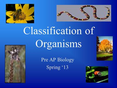 Classification of Organisms Pre AP Biology Spring ‘13.