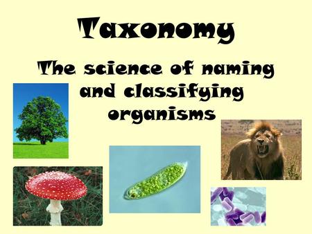 The science of naming and classifying organisms Taxonomy.