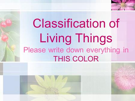 Classification of Living Things Please write down everything in THIS COLOR.