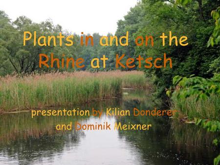 Plants in and on the Rhine at Ketsch presentation by Kilian Donderer and Dominik Meixner.