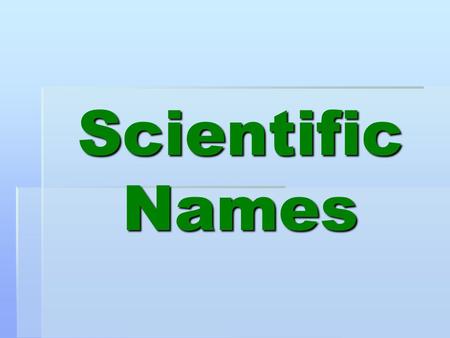 Scientific Names.