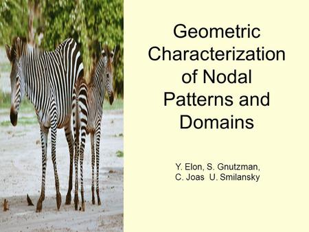Geometric Characterization of Nodal Patterns and Domains Y. Elon, S. Gnutzman, C. Joas U. Smilansky.