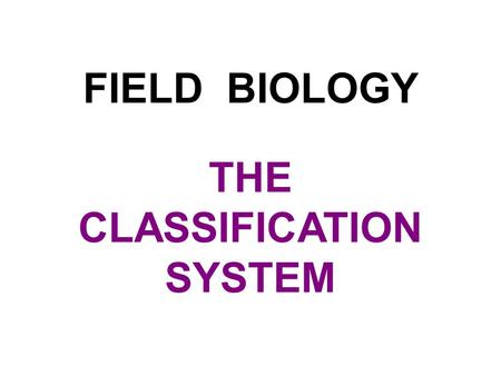 FIELD BIOLOGY THE CLASSIFICATION SYSTEM. BIOLOGY Bios (Greek) = Logos (Greek) = Life Study.