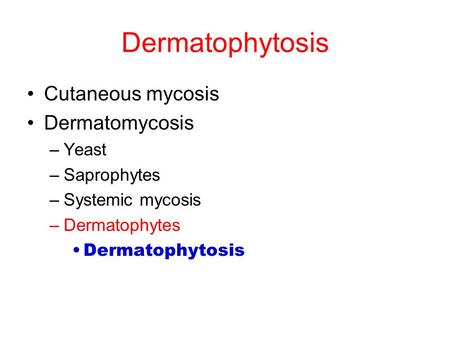 Dermatophytosis Cutaneous mycosis Dermatomycosis Yeast Saprophytes