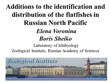 Additions to the identification and distribution of the flatfishes in Russian North Pacific Elena Voronina Boris Sheiko Laboratory of Ichthyology Zoological.