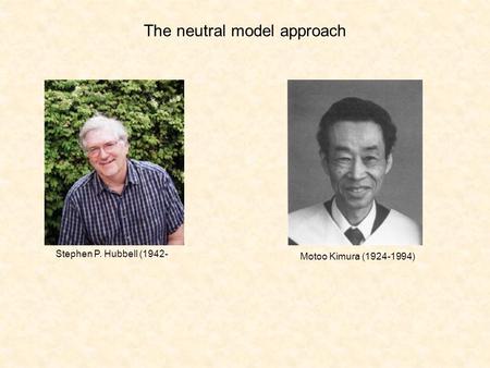 The neutral model approach Stephen P. Hubbell (1942- Motoo Kimura (1924-1994)