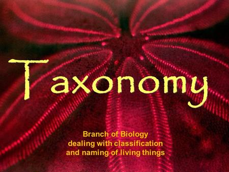 Taxonomy Branch of Biology dealing with classification and naming of living things.