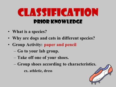 CLASSIFICATION Prior Knowledge What is a species? Why are dogs and cats in different species? Group Activity: paper and pencil –Go to your lab group. –Take.