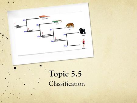 Topic 5.5 Classification. Why Classify? 1. How many ‘different sorts’ of living things are there on the planet?