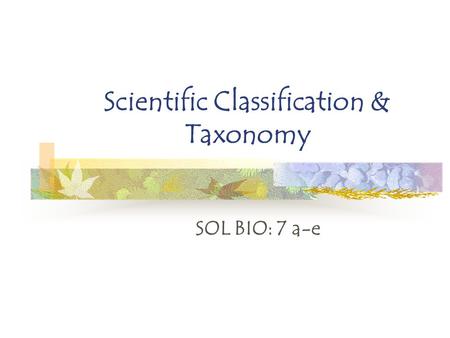 Scientific Classification & Taxonomy SOL BIO: 7 a-e.