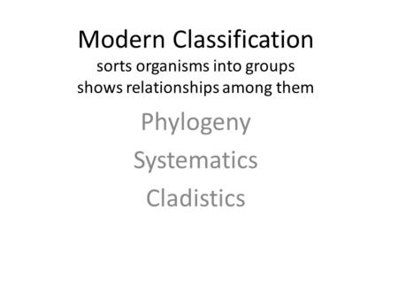 Phylogeny Systematics Cladistics