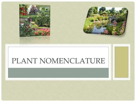 PLANT NOMENCLATURE. How many different plants are there on this Earth? Over 375,000 Plants Plant Nomenclature - The naming of plants - 1753 Carl Von Linne.