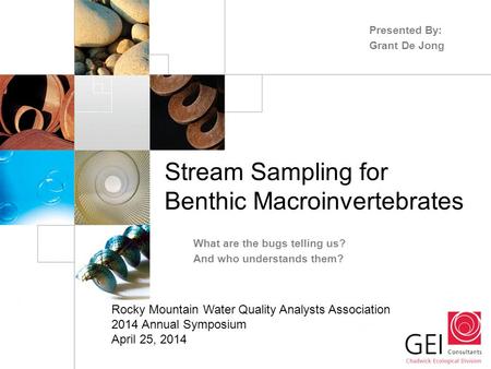 Stream Sampling for Benthic Macroinvertebrates What are the bugs telling us? And who understands them? Presented By: Grant De Jong Rocky Mountain Water.