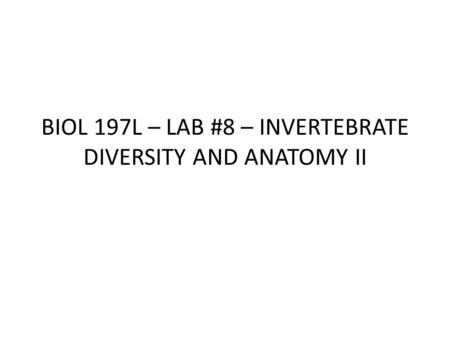 BIOL 197L – LAB #8 – INVERTEBRATE DIVERSITY AND ANATOMY II.