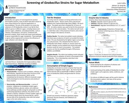Screening of Geobacillus Strains for Sugar Metabolism Justin Cullity Adviser: Dr. Kang Wu Chemical Engineering University of New Hampshire Durham, NH Introduction.