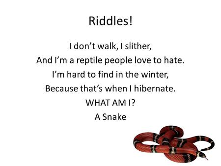 Riddles! I don’t walk, I slither,