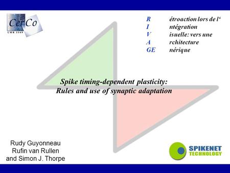 Spike timing-dependent plasticity: Rules and use of synaptic adaptation Rudy Guyonneau Rufin van Rullen and Simon J. Thorpe Rétroaction lors de l‘ Intégration.