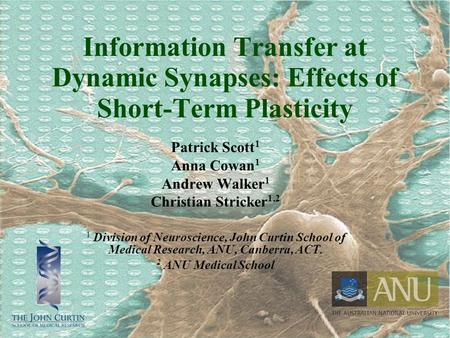 Information Transfer at Dynamic Synapses: Effects of Short-Term Plasticity Patrick Scott 1 Anna Cowan 1 Andrew Walker 1 Christian Stricker 1,2 1 Division.