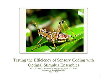 1 Testing the Efficiency of Sensory Coding with Optimal Stimulus Ensembles C. K. Machens, T. Gollisch, O. Kolesnikova, and A.V.M. Herz Presented by Tomoki.