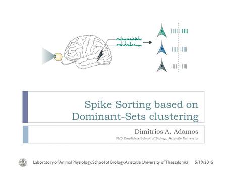 Spike Sorting based on Dominant-Sets clustering Dimitrios A. Adamos PhD Candidate School of Biology, Aristotle University 5/19/2015Laboratory of Animal.